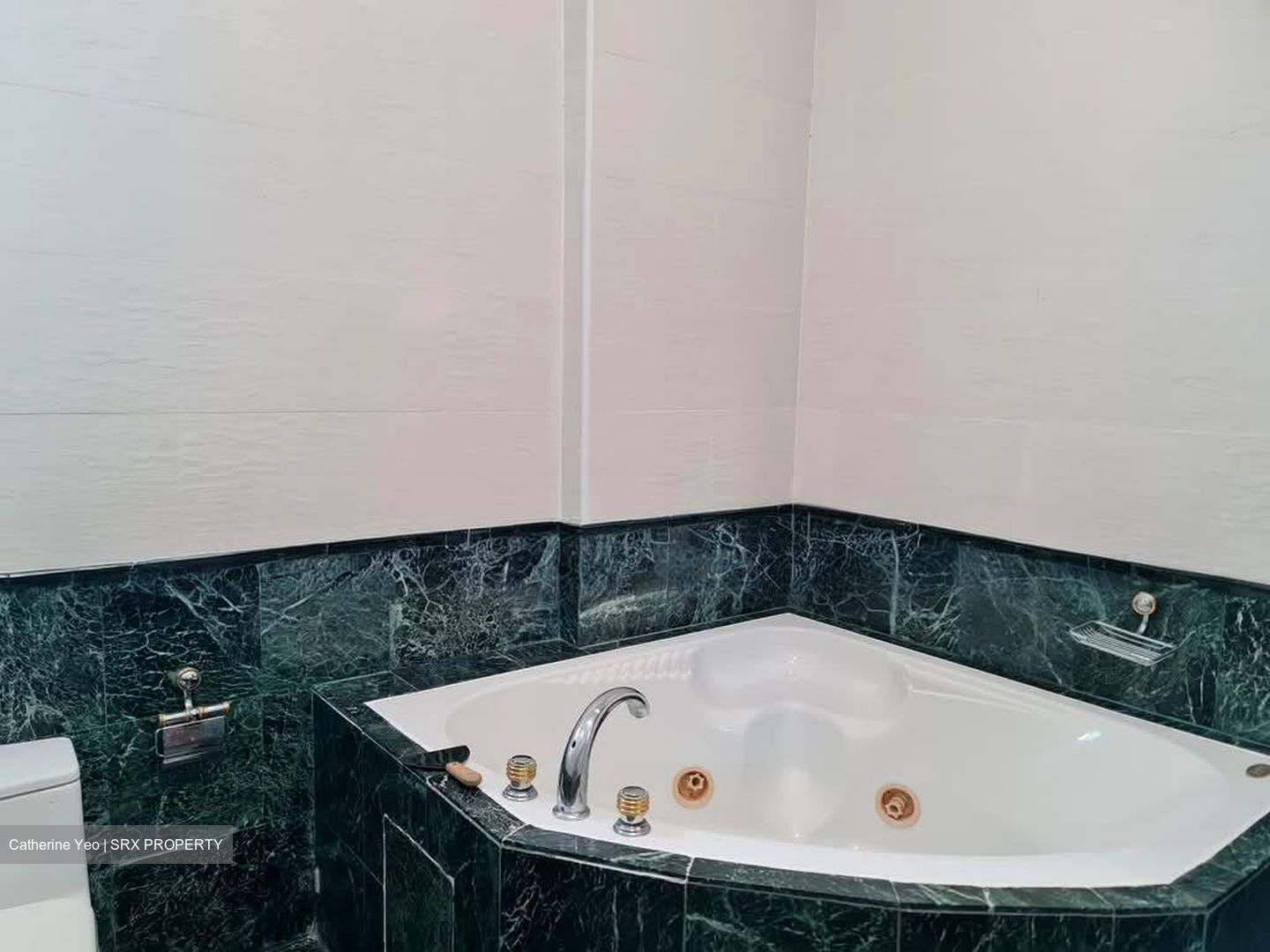 Fifth Avenue Condominium (D10), Condominium #580656811